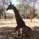 131996624_3715434321836619_5560845707930906394_n 131996624_3715434321836619_5560845707930906394_n