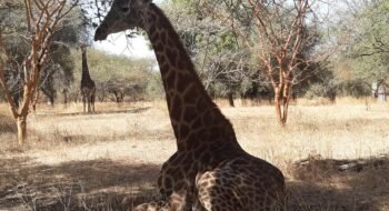 131996624_3715434321836619_5560845707930906394_n 131996624_3715434321836619_5560845707930906394_n